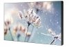 Samsung Monitor profesjonalny VM46B-U 46 cali Video wall Matowy 24h/7 500(cd/m2) 1920 x 1080(FHD) N/A  3 lata On-Site (LH46VMBUB